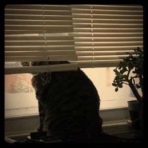 Meet your Posher, Jenny